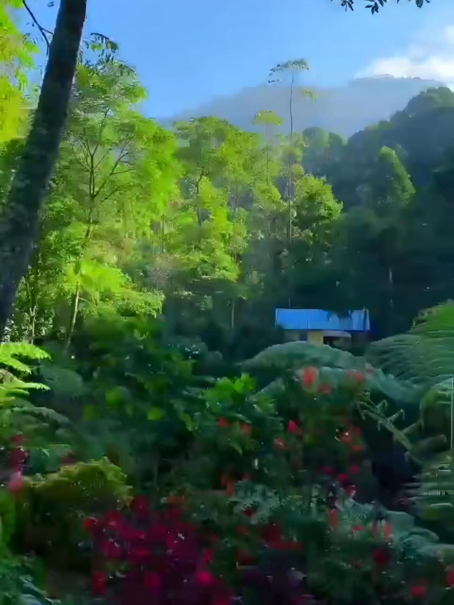 Penginapan Nuansa Riung Gunung Hotell Pangalengan Exteriör bild